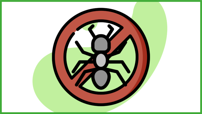 Immagine del divieto con raffigurata una formica