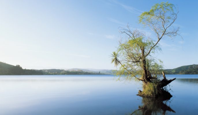 Biodiversità