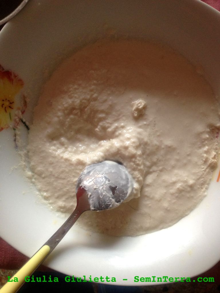 fermenti lattici vivi