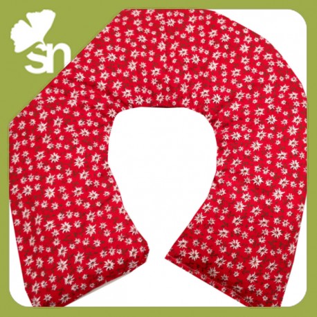 noccioli di ciliegia