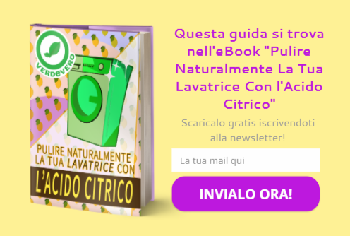 Come pulire la lavatrice e tenerla igienizzata verdevero Come pulire la lavatrice in modo naturale