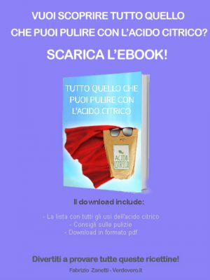 ebook tutto quello che puoi pulire con l'acido citrico