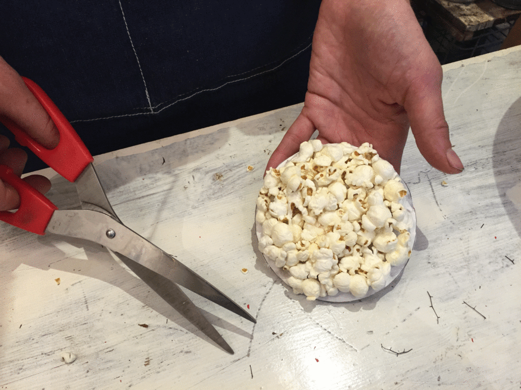 pallina di popcorn ritaglio cartone