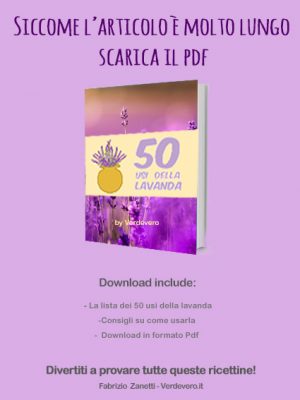 ebook 50 usi della lavanda