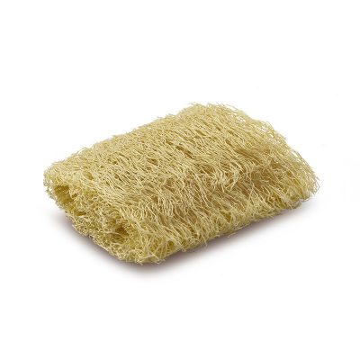 spugna luffa