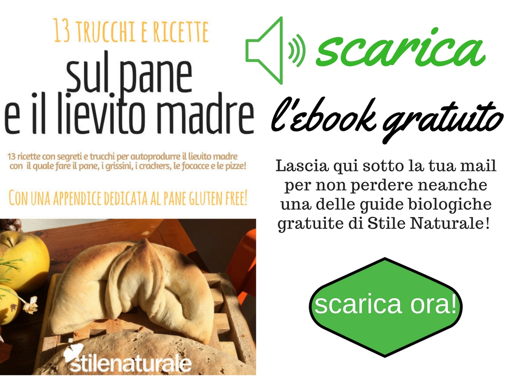 ebook lievito pane (2)