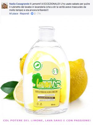 Detersivo ecologico Lemontrì