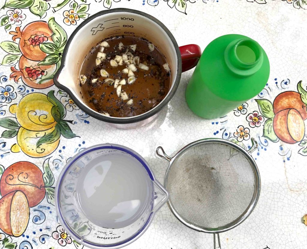 filtraggio macerato per bruchi della rosa