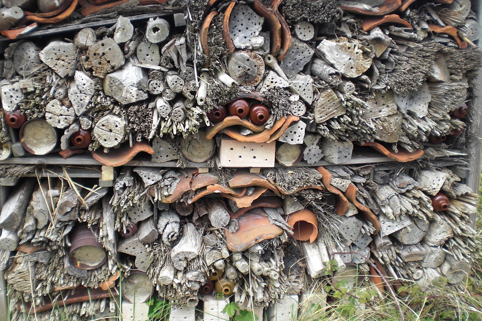 bug hotel 3