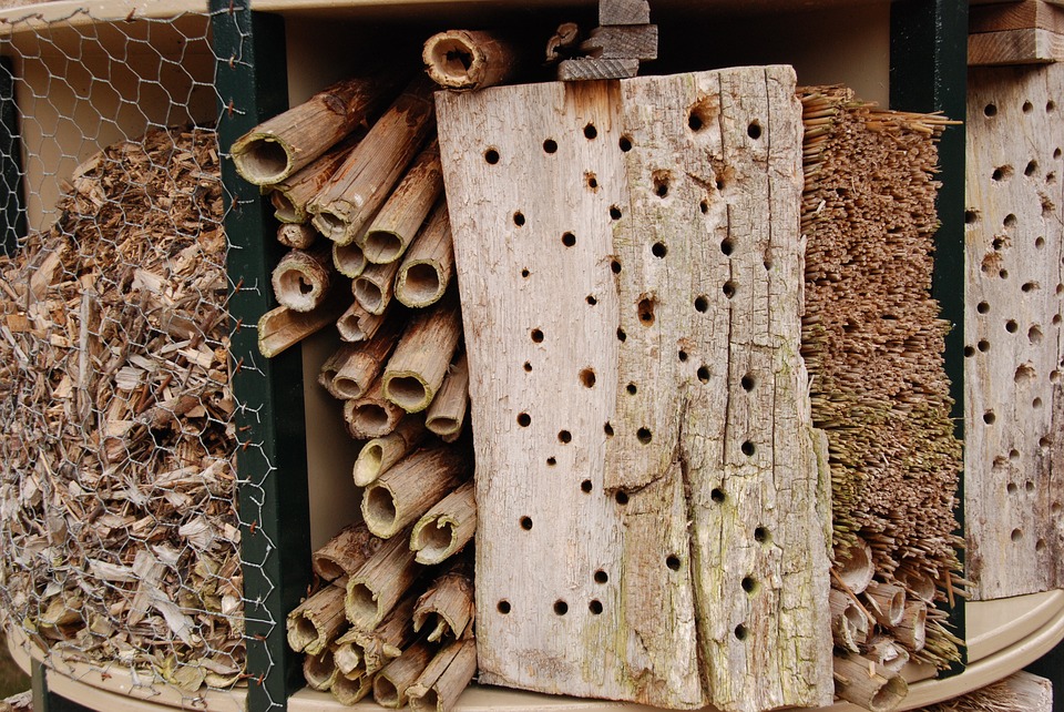 bug hotel 4
