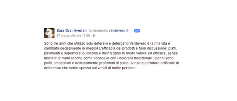 recensione verdevero facebook