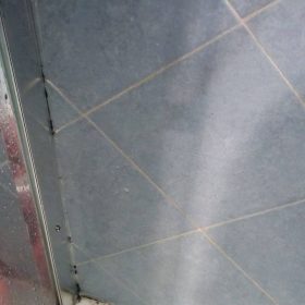 Come eliminare muffe e batteri dalla doccia senza usare bombe chimiche Muffa come pulirla