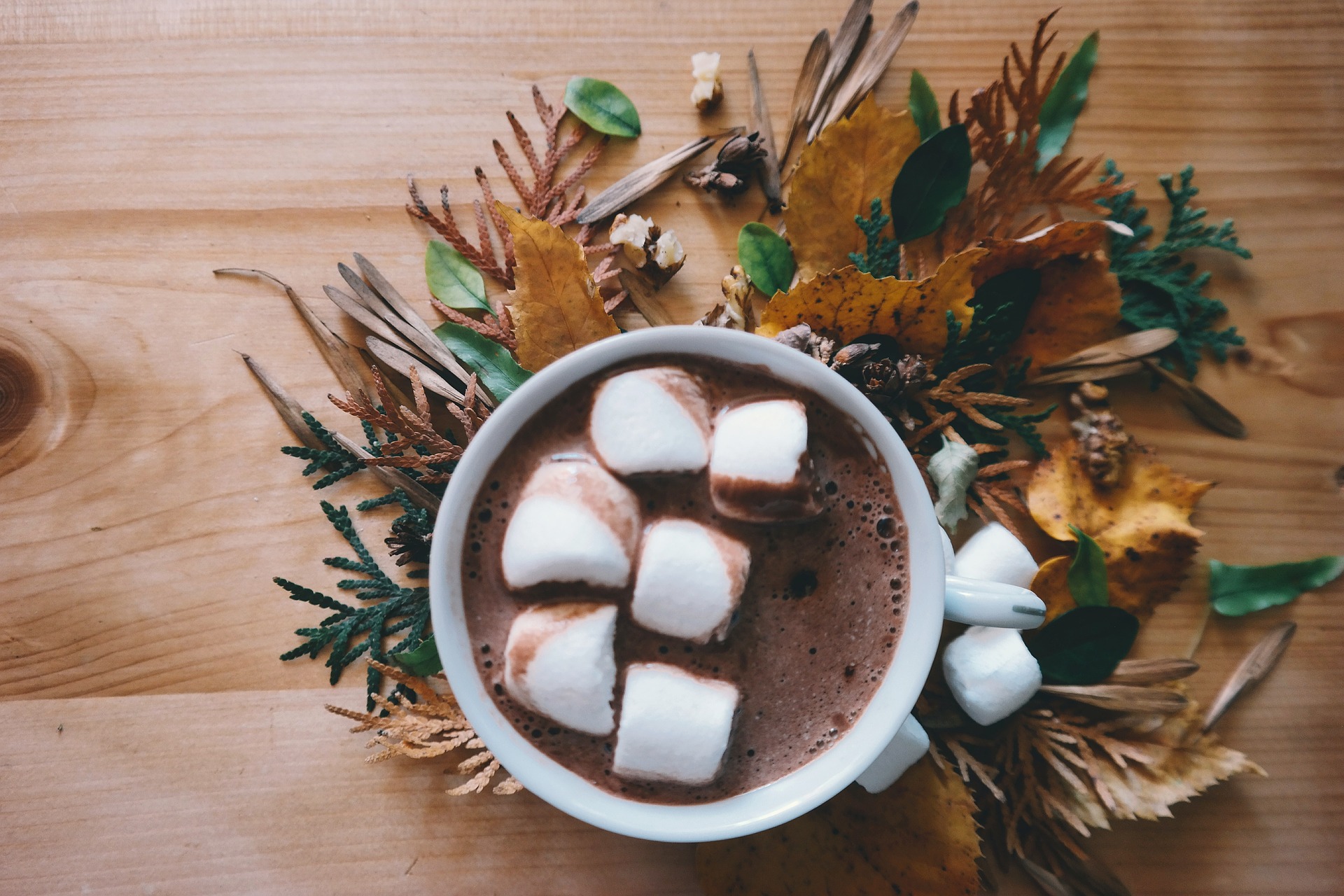 Come pulire le macchie di cacao fresche dalla camicia bianca