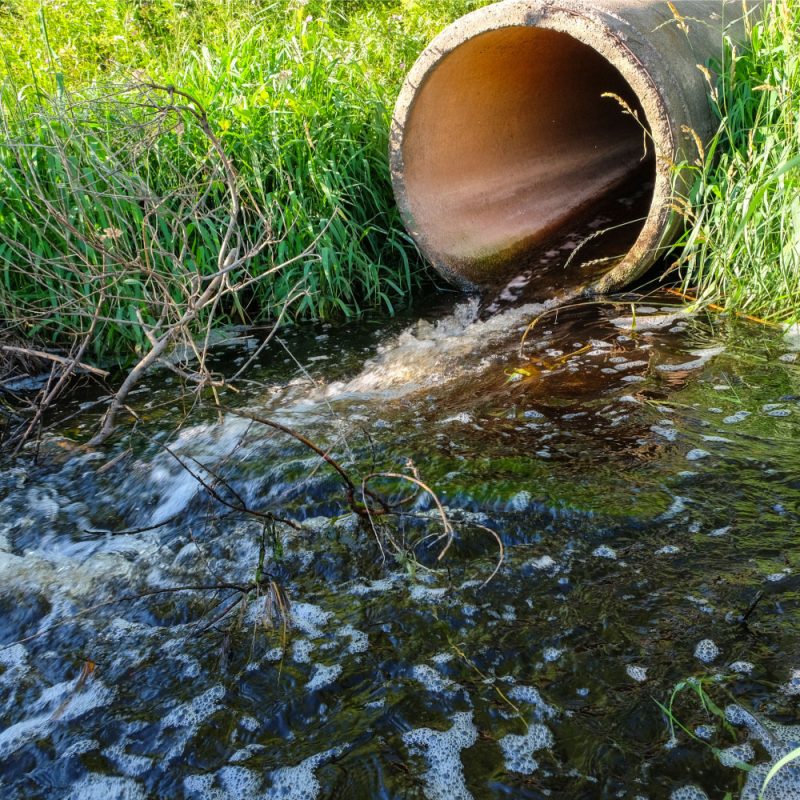 inquinamento acqua