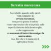 Cura lavastoviglie naturale SOS LAVASTOVIGLIE 5 Dosi - immagine 4