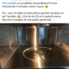 forno pulito