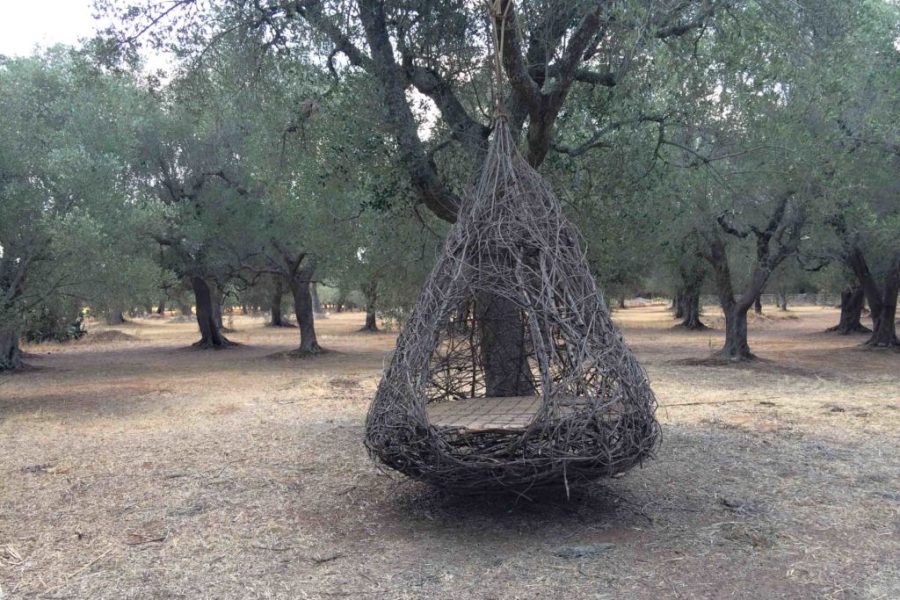 16Inzidda parco paduli