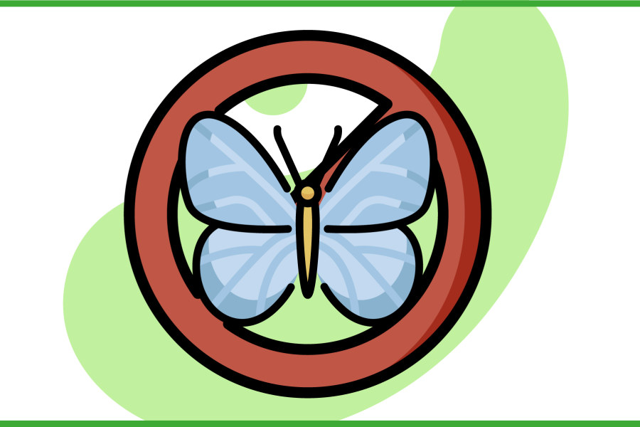 Immagine di una farfalla dentro al simbolo di divieto
