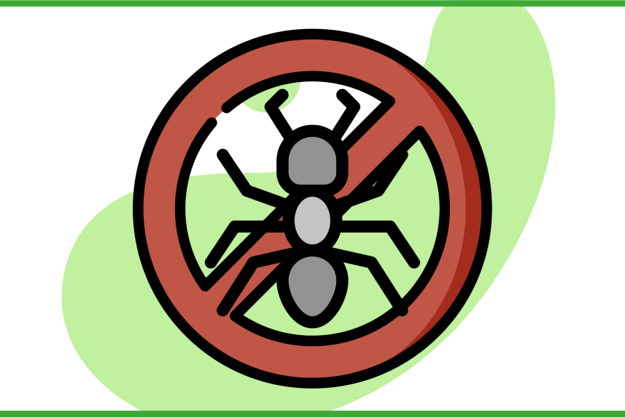 Immagine del divieto con raffigurata una formica