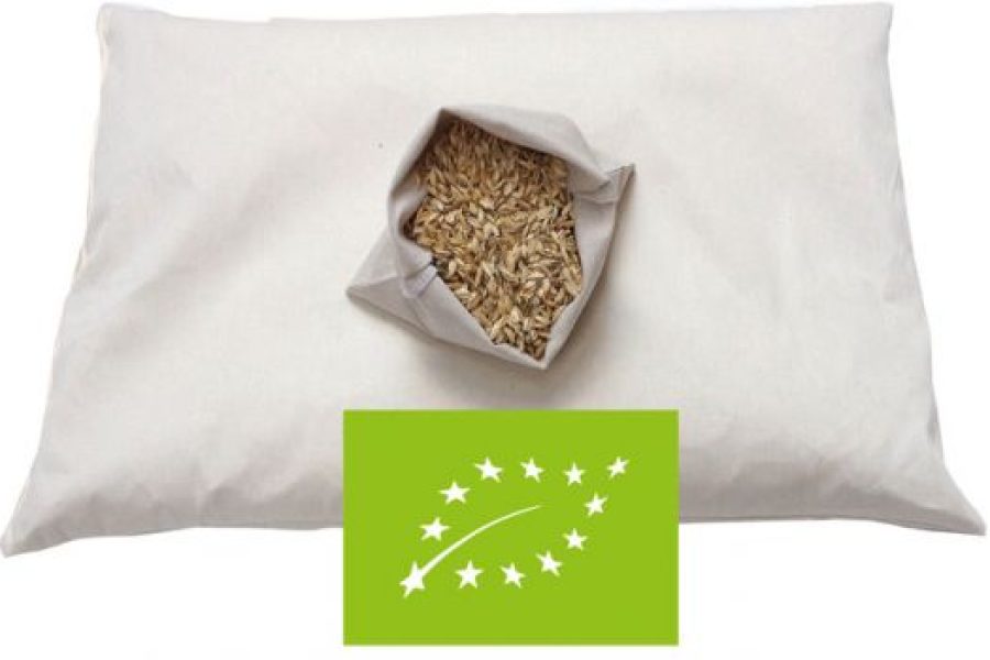 550x350-true-Cuscino