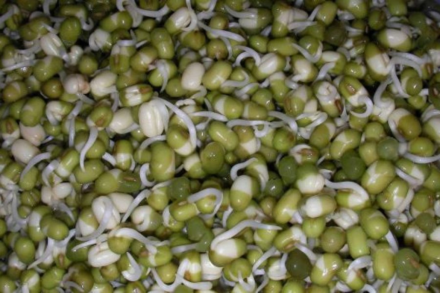 550x350-true-Titolo_Italiano_1