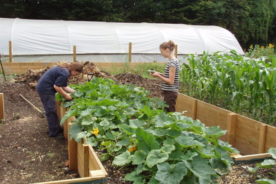 ANTIPARASSITARI NATURALI