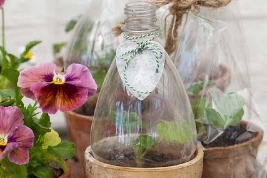 BOTTIGLIE DI PLASTICA