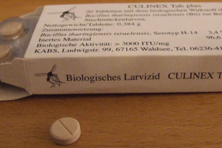 Bacillus Thuringiensis