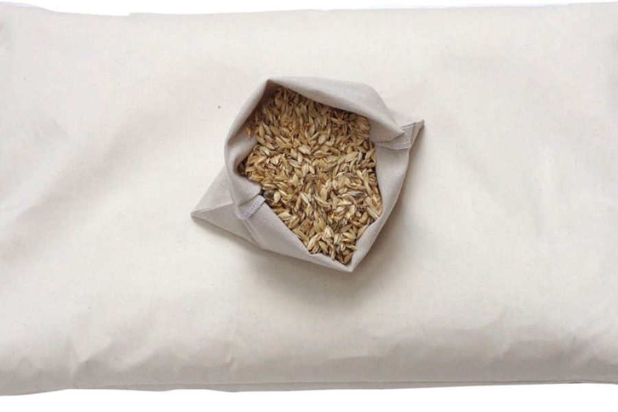 cuscino in pula di farro