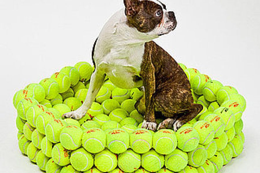 Dog_Bed_Made_Tennis_Balls.jpg