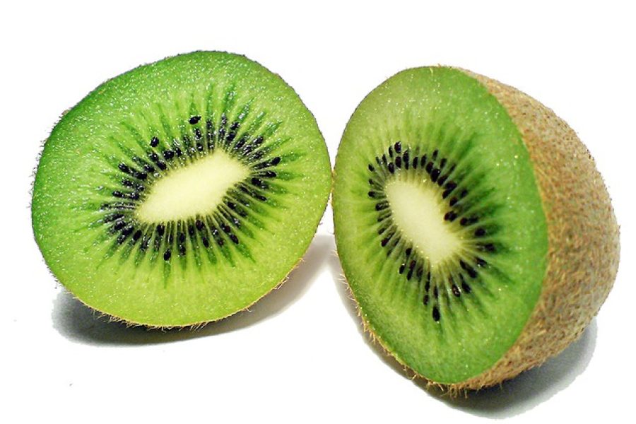 RADICALI LIBERI KIWI