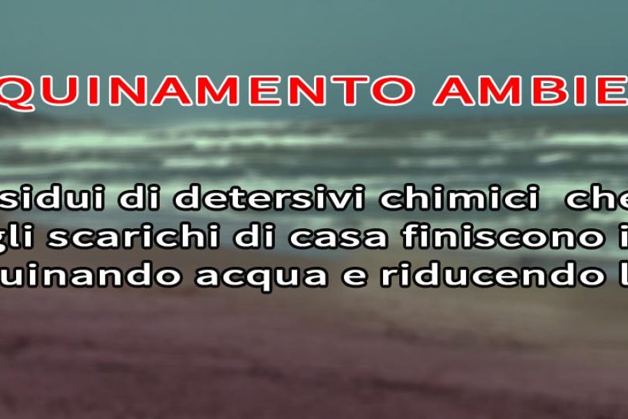 verdevero detersivi ecologici