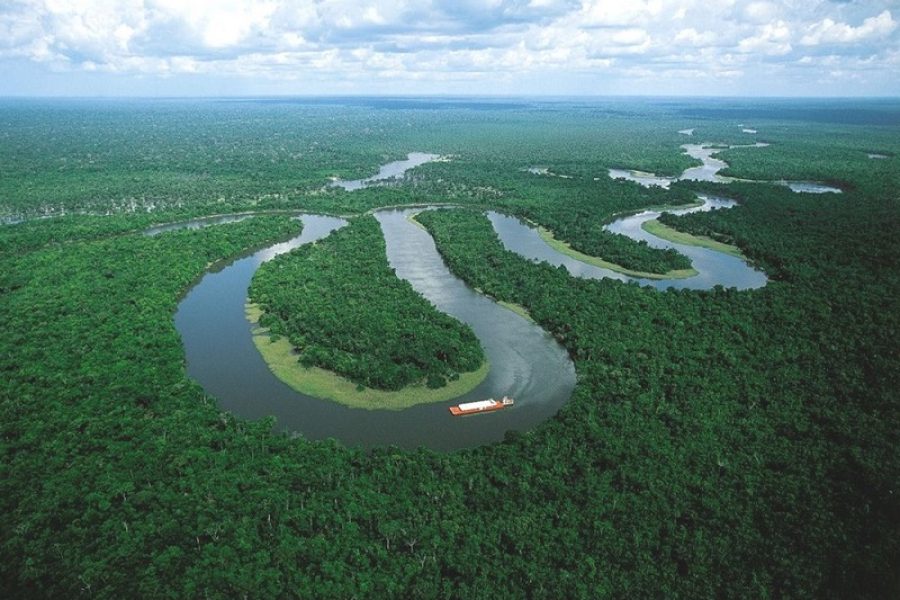 amazzonia