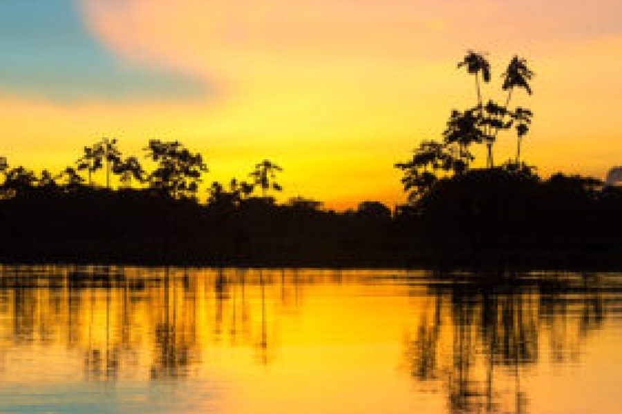 I colori del tramonto della Foresta amazzonica, in pericolo a causa dell'intensa deforestazione degli ultimi anni