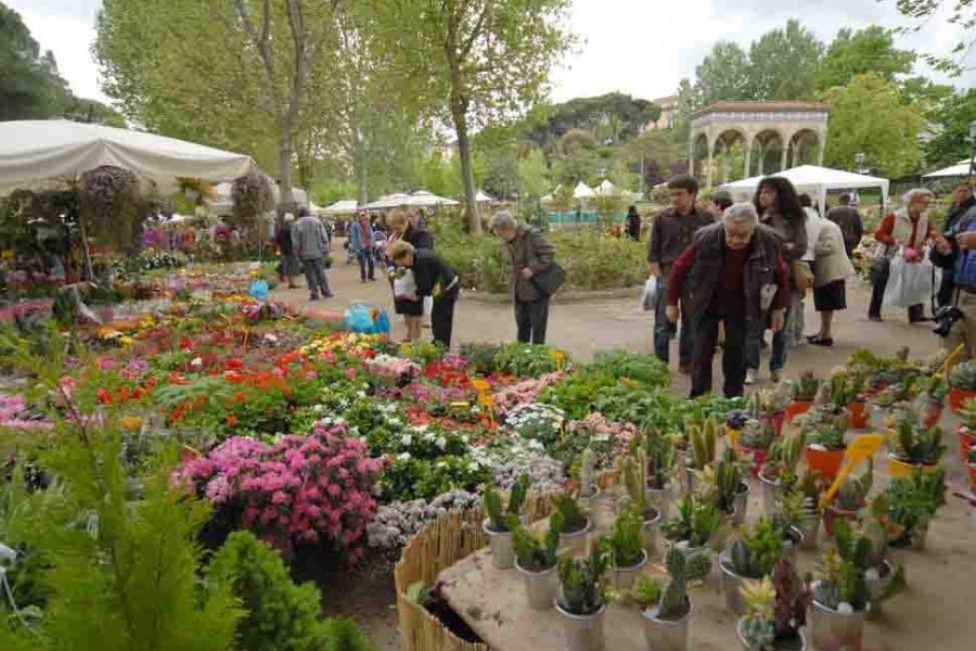 appuntamenti febbraio