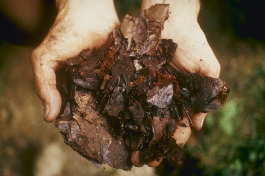 concime organico