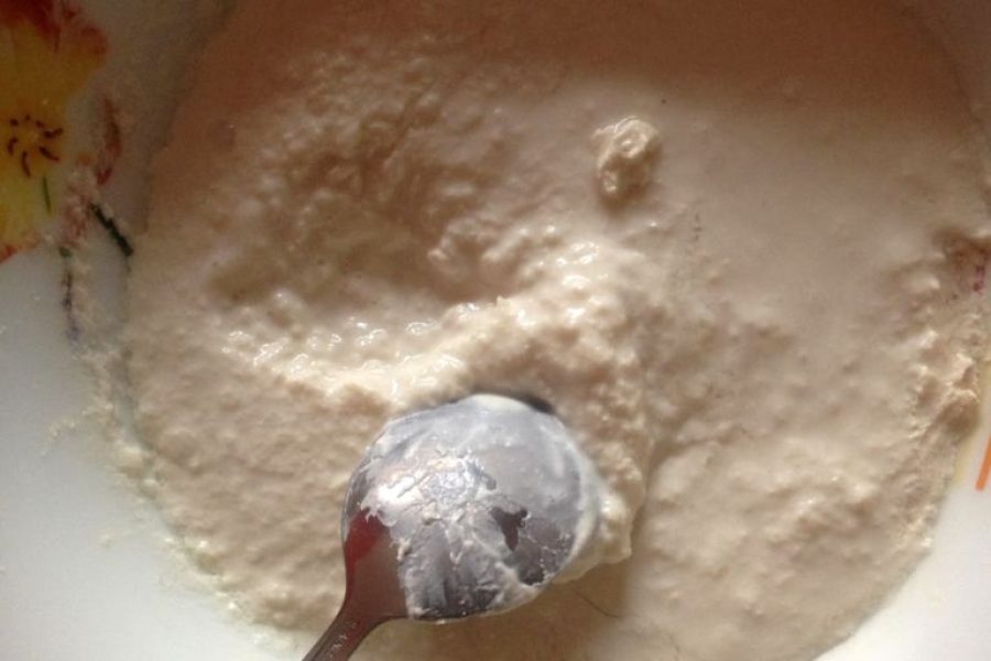 fermenti lattici vivi