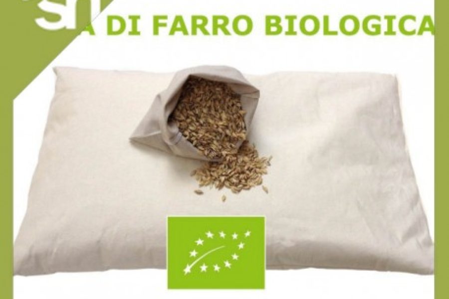 cuscino in pula di farro