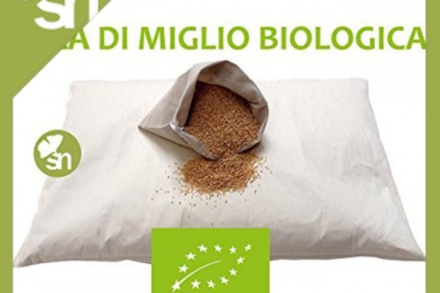 cuscino miglio