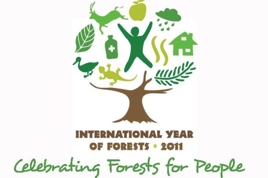 cut1296034562anno_internazionale_delle_foreste.jpg