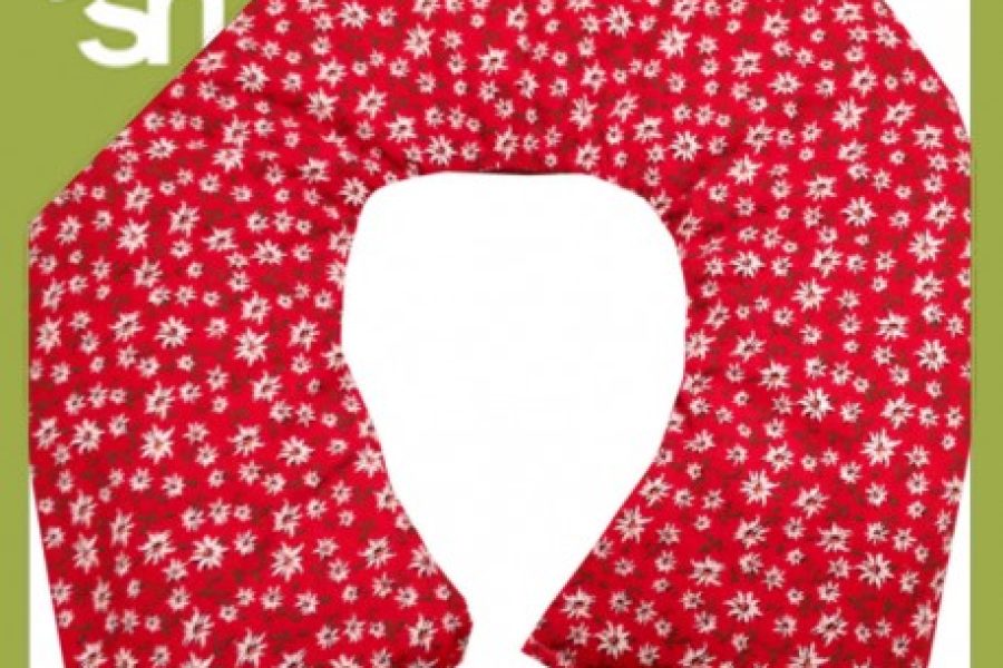 noccioli di ciliegia