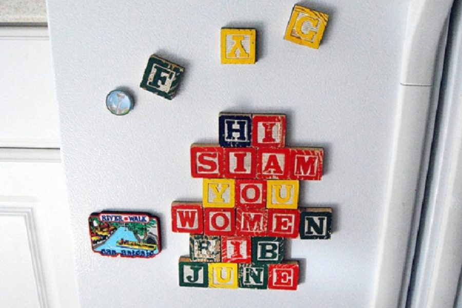 fridge_magnets_pd2t7.jpg