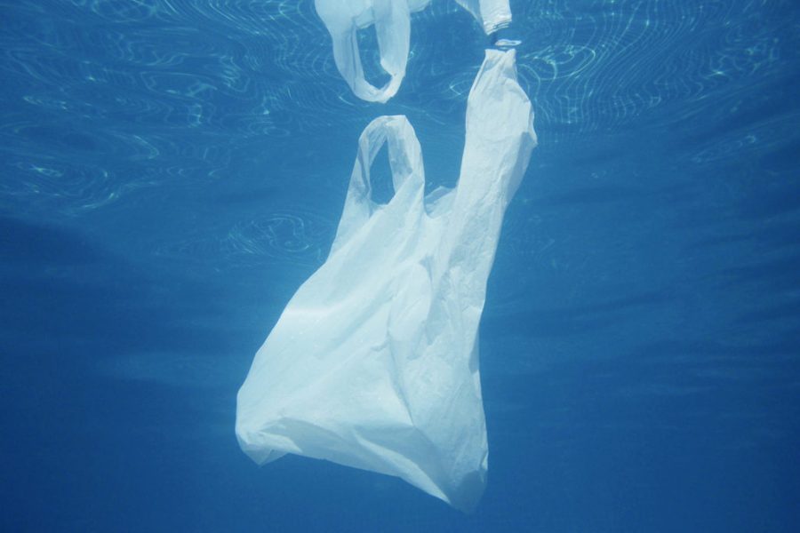 La plastica in mare costituisce un grosso rischio