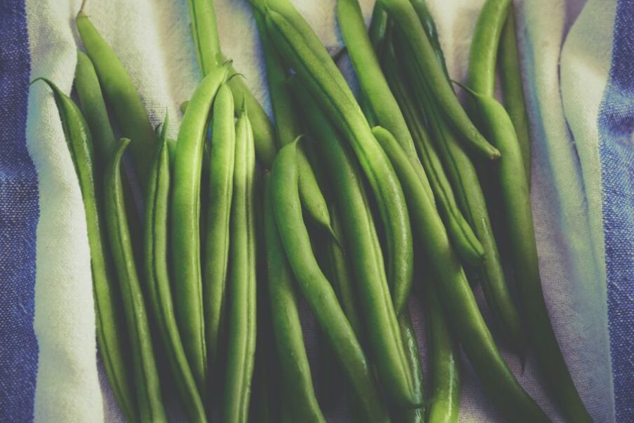 orto biologico autunnale