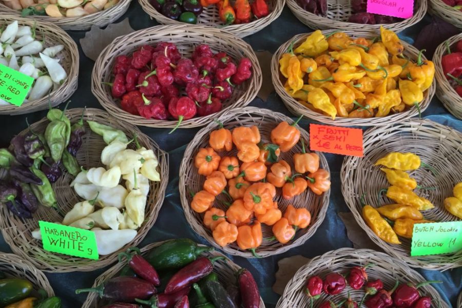 nuovi parassiti da ortaggi