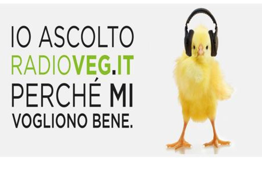 radioveg OK