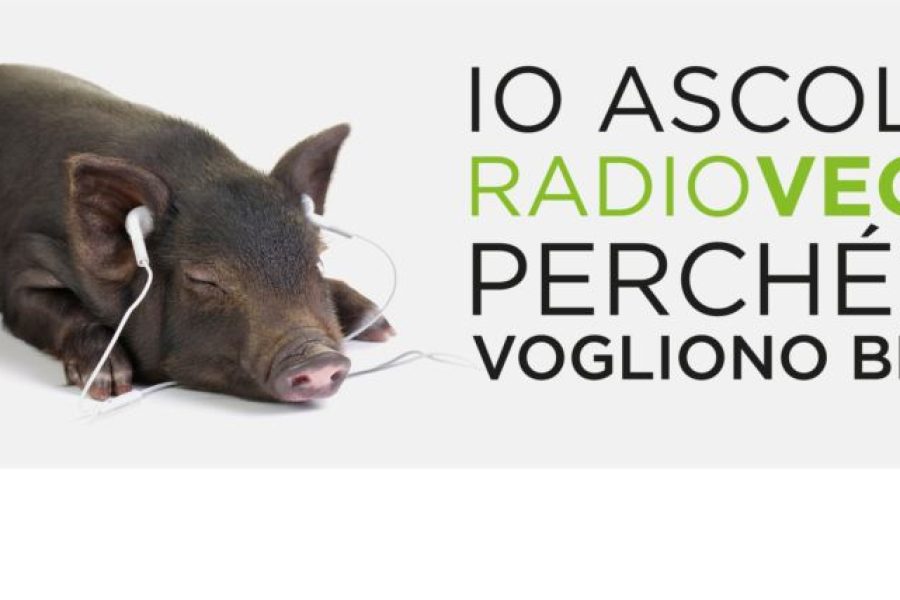 radioveg.it