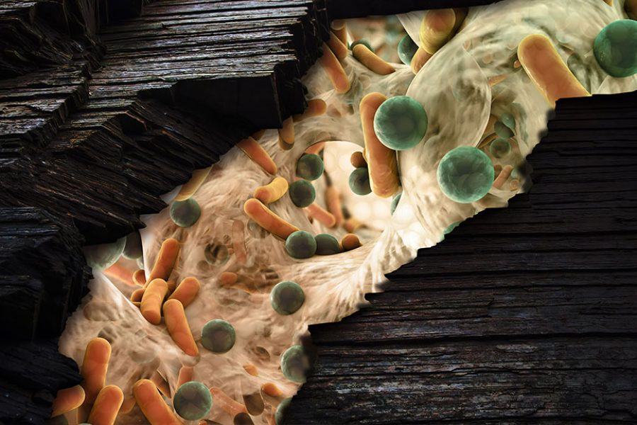 resistenza-microbica