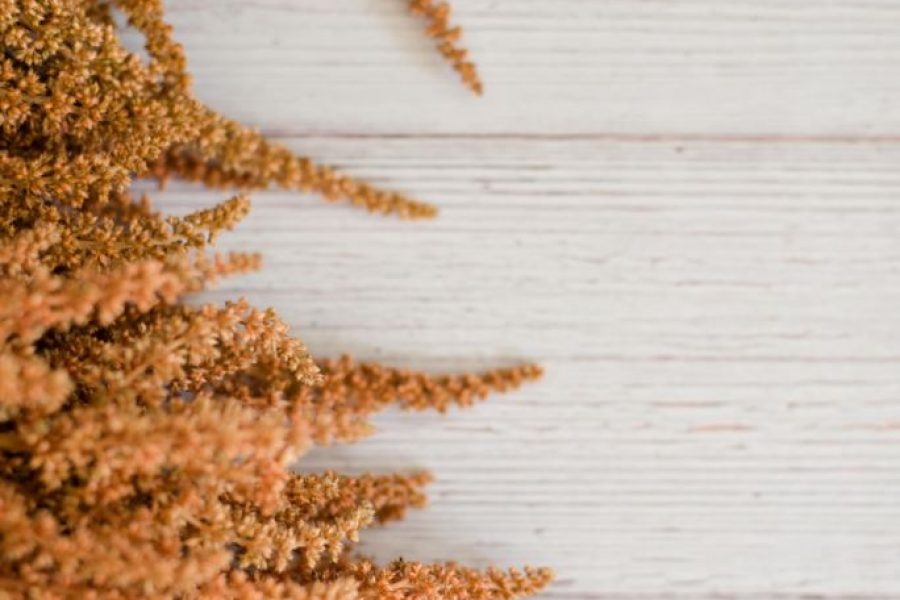 Photo by Sara Maximoff on Unsplash