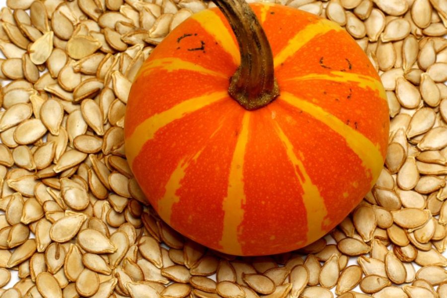 semi di zucca e zucca